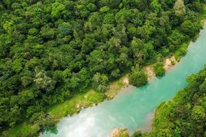 asombroso paisaje un hermosa río fluye mediante encantador aire y lozano árboles, creando un sereno y pintoresco natural refugio para todas a disfrutar foto