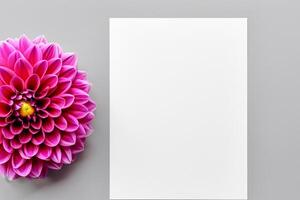 Mockup Cute Flower on White Background A Charming Display of Floral Elegance and Simplicity photo