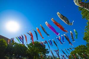Carp streamer at the park in Tokyo daytime sunny photo