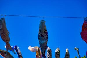 Carp streamer at the park in Tokyo daytime sunny photo