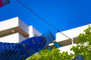 Carp streamer at the park in Tokyo daytime sunny photo