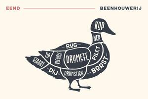 Meat cuts. Poster Butcher diagram and scheme - Duck vector