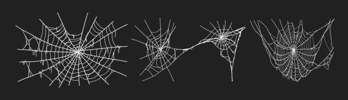 Spooky halloween old spider web with various sizes and shapes. Old cobweb set illustration. vector