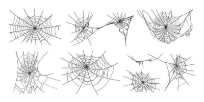 Spooky halloween old spider web with various sizes and shapes. Old cobweb set illustration. vector