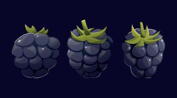 Black ripe blackberries. set of isolated cartoon illustration. vector