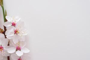 Beautiful Words on White Paper A Timeless Expression of Elegance and Simplicity Captured in Clean Lines and Crisp Edges, Offering a Pure and Classic Canvas for Thoughts and Creativity to Flourish photo