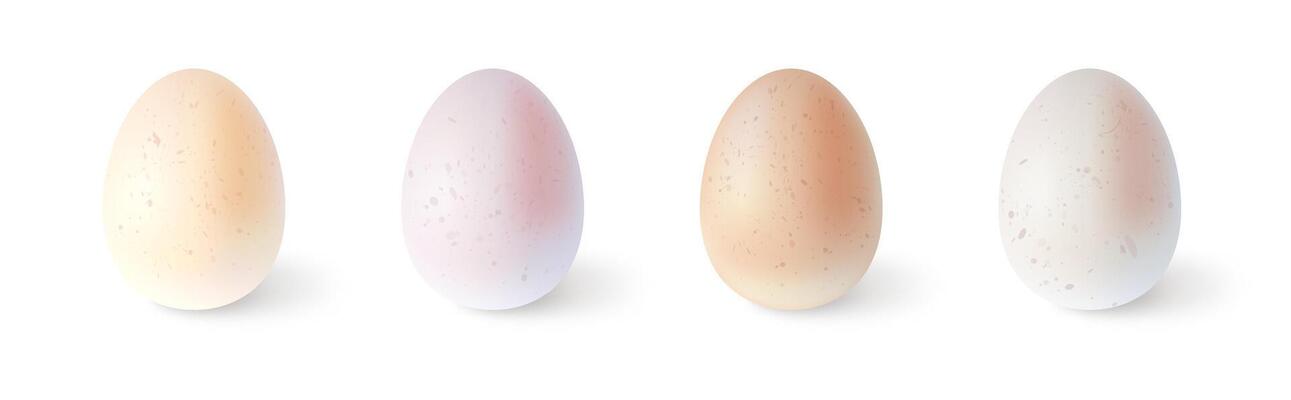 Set of realistic chicken eggs. illustration isolated on white background