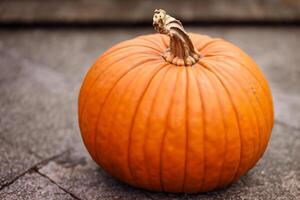 The Enchanting Beauty of Pumpkins A Celebration of Vibrant Colors and Autumnal Charm Capturing the Essence of Harvest Season in Every Curve and Contour photo