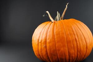 The Enchanting Beauty of Pumpkins A Celebration of Vibrant Colors and Autumnal Charm Capturing the Essence of Harvest Season in Every Curve and Contour photo