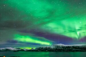 hermosa Aurora de la naturaleza deslumbrante ligero espectáculo pinturas el noche cielo con magnífico colores, fascinante público en todo el mundo en temor foto