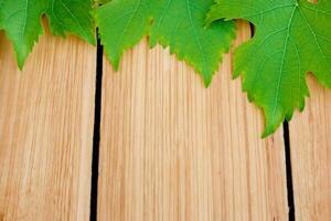 el eterno belleza de vino hojas en un rústico madera antecedentes capturas el esencia de de la naturaleza elegancia en cada delicado vena y textura foto