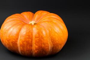 The Enchanting Beauty of Pumpkins A Celebration of Vibrant Colors and Autumnal Charm Capturing the Essence of Harvest Season in Every Curve and Contour photo