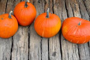 The Enchanting Beauty of Pumpkins A Celebration of Vibrant Colors and Autumnal Charm Capturing the Essence of Harvest Season in Every Curve and Contour photo