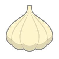 Garlic icon. Aromatic vegetable icon. vector