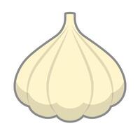 Garlic icon. Aromatic vegetable icon. vector