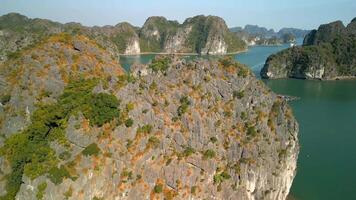 antenn av lan ha bukt med kalksten sten formationer och fiske by, vietnam video