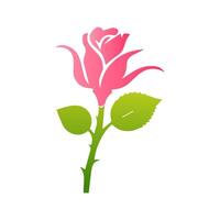 Pink rose flowers, floral decorated with gorgeous multicolored blooming flowers and leaves border. Spring botanical flat illustration on white background vector