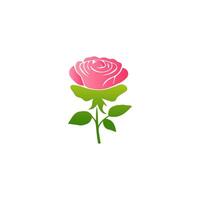 Pink rose flowers, floral decorated with gorgeous multicolored blooming flowers and leaves border. Spring botanical flat illustration on white background vector