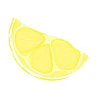 Hand drawn lemon slace. Single element isolated on white background. vector