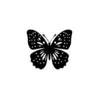 Beautiful Ornament Butterfly Decoration element Design vector