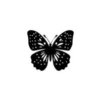 Beautiful Ornament Butterfly Decoration element Design vector