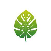 Green leaf icon. Elements design for natural, eco, vegan, bio labels vector