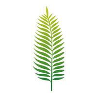 Green leaf icon. Elements design for natural, eco, vegan, bio labels vector