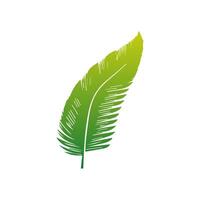 Green leaf icon. Elements design for natural, eco, vegan, bio labels vector