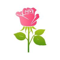 Pink rose flowers, floral decorated with gorgeous multicolored blooming flowers and leaves border. Spring botanical flat illustration on white background vector