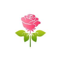 Pink rose flowers, floral decorated with gorgeous multicolored blooming flowers and leaves border. Spring botanical flat illustration on white background vector