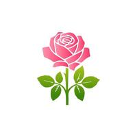 Pink rose flowers, floral decorated with gorgeous multicolored blooming flowers and leaves border. Spring botanical flat illustration on white background vector