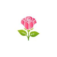 Pink rose flowers, floral decorated with gorgeous multicolored blooming flowers and leaves border. Spring botanical flat illustration on white background vector