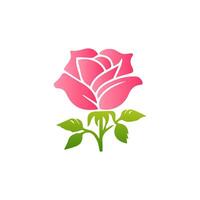 Pink rose flowers, floral decorated with gorgeous multicolored blooming flowers and leaves border. Spring botanical flat illustration on white background vector