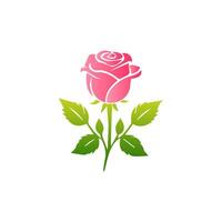 Pink rose flowers, floral decorated with gorgeous multicolored blooming flowers and leaves border. Spring botanical flat illustration on white background vector