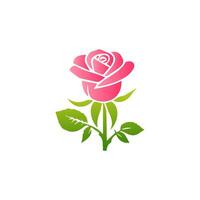 Pink rose flowers, floral decorated with gorgeous multicolored blooming flowers and leaves border. Spring botanical flat illustration on white background vector