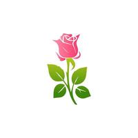 Pink rose flowers, floral decorated with gorgeous multicolored blooming flowers and leaves border. Spring botanical flat illustration on white background vector