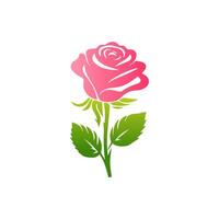 Pink rose flowers, floral decorated with gorgeous multicolored blooming flowers and leaves border. Spring botanical flat illustration on white background vector