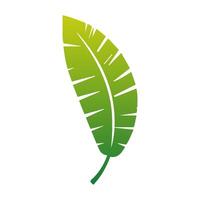 Green leaf icon. Elements design for natural, eco, vegan, bio labels vector