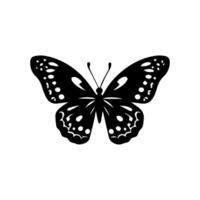 Beautiful Ornament Butterfly Decoration element Design vector