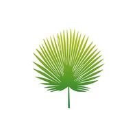 Green leaf icon. Elements design for natural, eco, vegan, bio labels vector