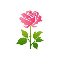 Pink rose flowers, floral decorated with gorgeous multicolored blooming flowers and leaves border. Spring botanical flat illustration on white background vector