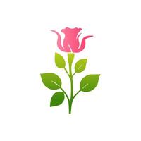 Pink rose flowers, floral decorated with gorgeous multicolored blooming flowers and leaves border. Spring botanical flat illustration on white background vector