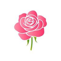 Pink rose flowers, floral decorated with gorgeous multicolored blooming flowers and leaves border. Spring botanical flat illustration on white background vector