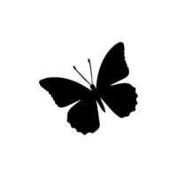 Beautiful Ornament Butterfly Decoration element Design vector