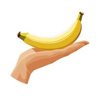 Freshly and healthy yellow banana in the palm of the hand isolated on white background. illustration in flat style with fruit. Clipart for card, banner, flyer, poster design vector