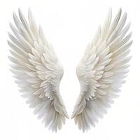 white angel wings isolated on white background photo