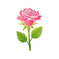 Pink rose flowers, floral decorated with gorgeous multicolored blooming flowers and leaves border. Spring botanical flat illustration on white background vector