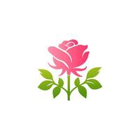 Pink rose flowers, floral decorated with gorgeous multicolored blooming flowers and leaves border. Spring botanical flat illustration on white background vector