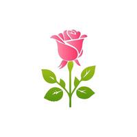 Pink rose flowers, floral decorated with gorgeous multicolored blooming flowers and leaves border. Spring botanical flat illustration on white background vector