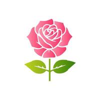 Pink rose flowers, floral decorated with gorgeous multicolored blooming flowers and leaves border. Spring botanical flat illustration on white background vector